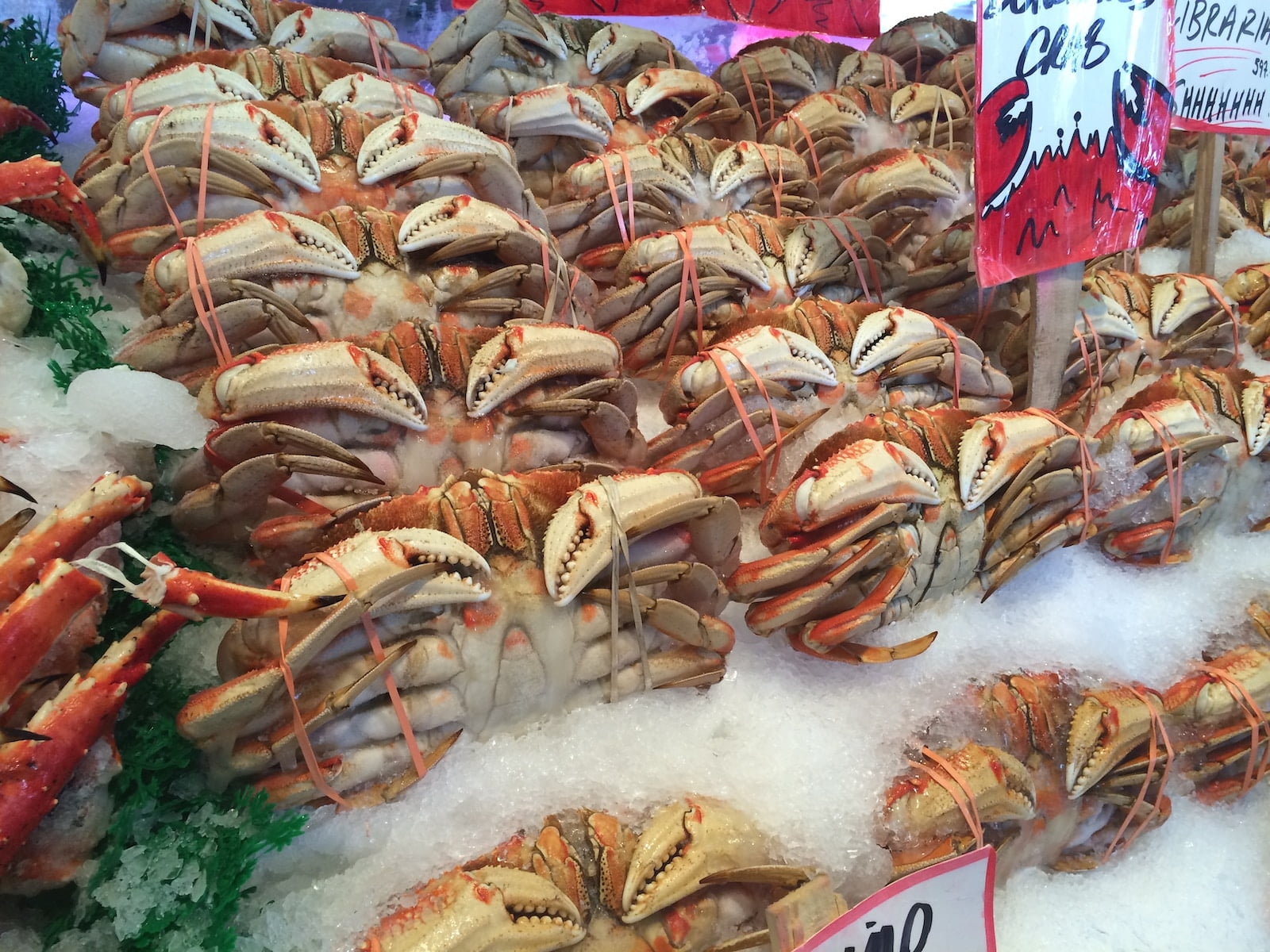 orange crabs