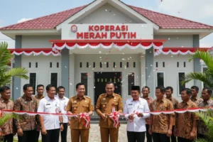Cara Daftar Koperasi Merah Putih Gaji Pengurus, Struktur, Modal, dan Bidangnya