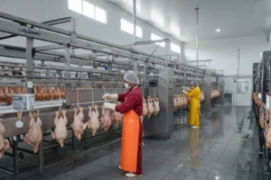 Daftar Izin Rumah Potong Ayam dan Prosedur Pengajuannya