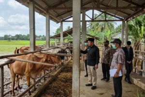 Daftar Izin Rumah Potong Hewan dan Prosedur Mengurusnya dari Awal